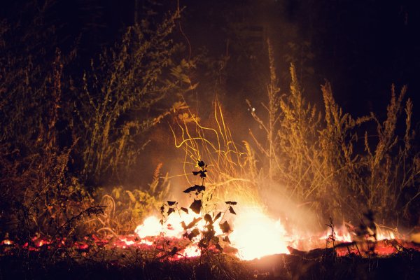 Костёр в лесу ночью