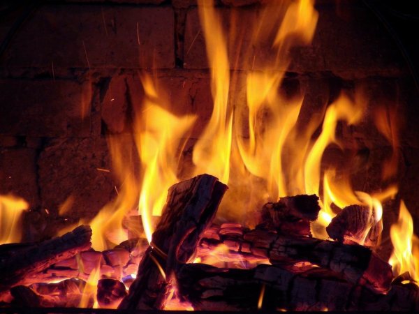 Землянка бьется в тесной печурке огонь