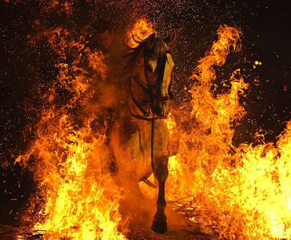 Человек огонь