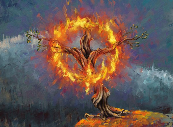 Куст в огне