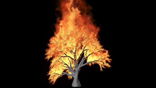 Дерево в огне