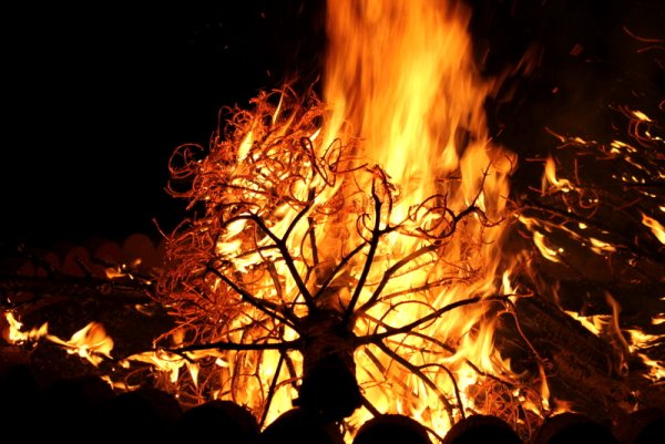 Дерево горит