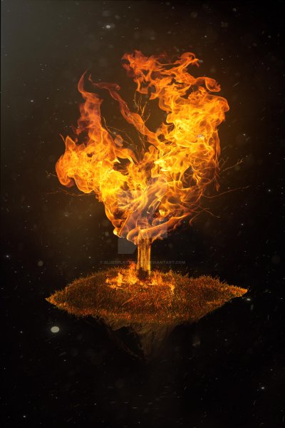 Горящие деревья