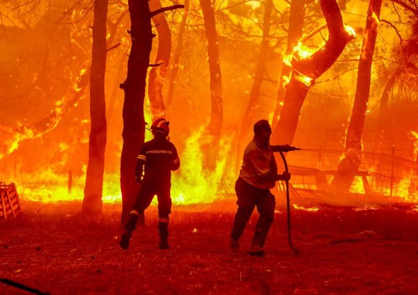 Лесные пожары