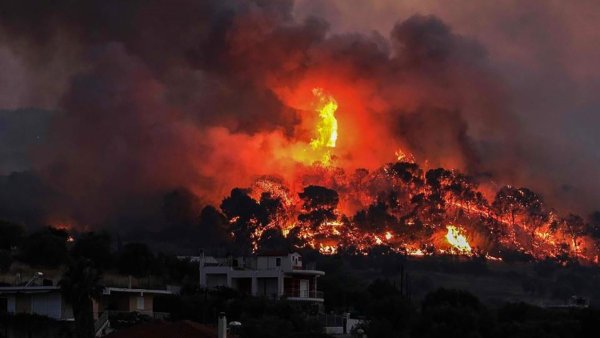 Пожар в Греции 2007 год Лесной