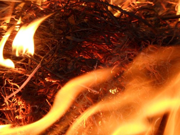 Гори все огнем