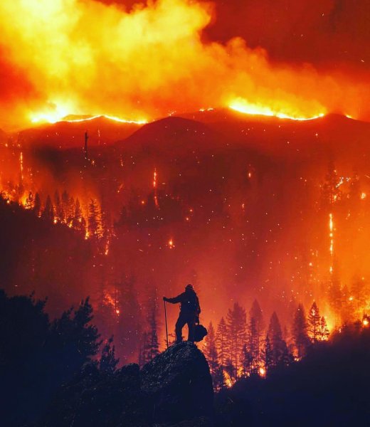 Лесные пожары