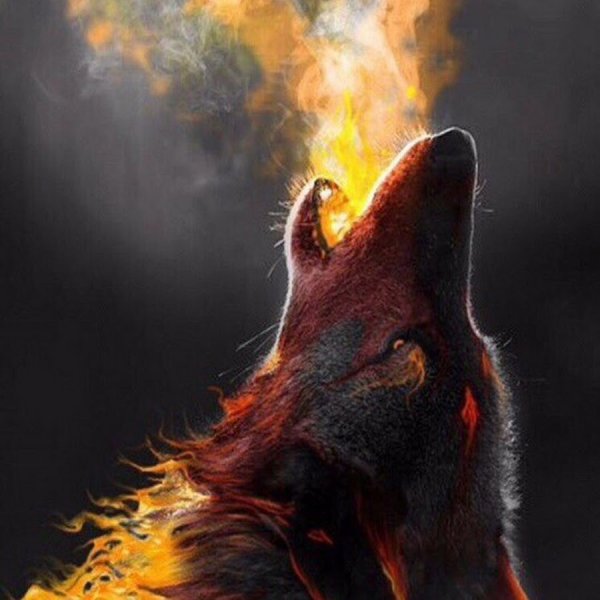 Волк в огне