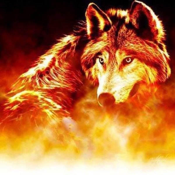 Огненные лольки