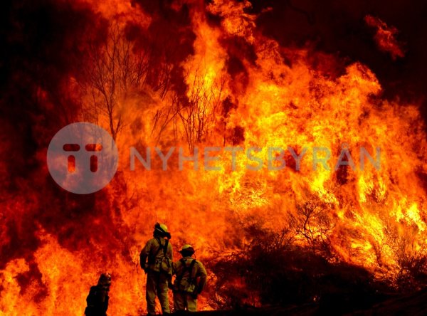 Горящий пожарный