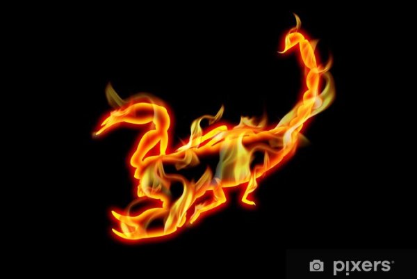 Скорпион Огненный знак