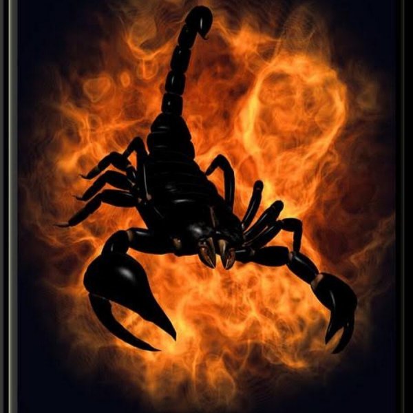 Огненный Скорпион