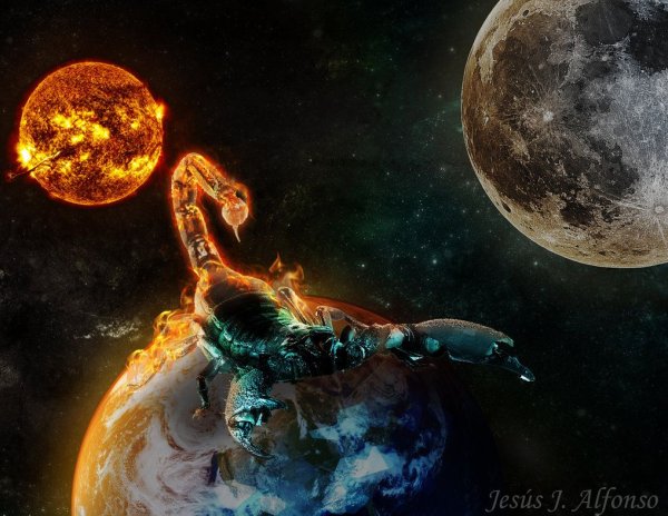 Ice Scorpion фэнтези