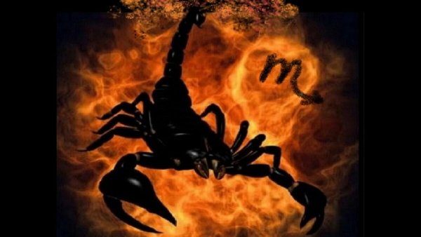 Скорпион аватарка