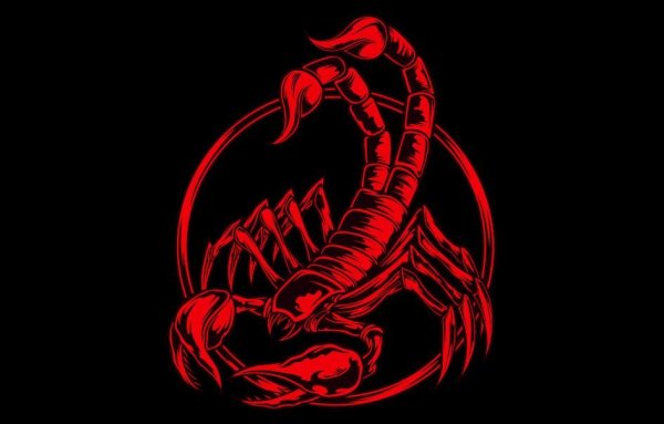 Скорпион логотип