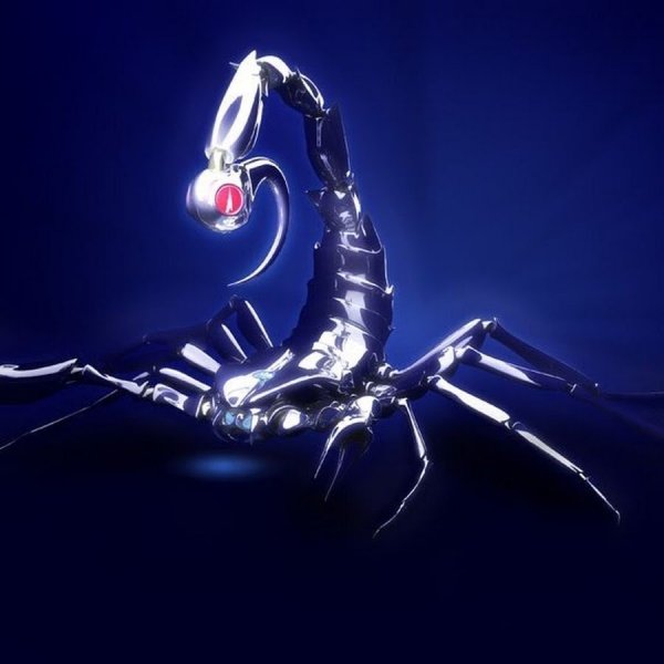 Скорпион на синем фоне