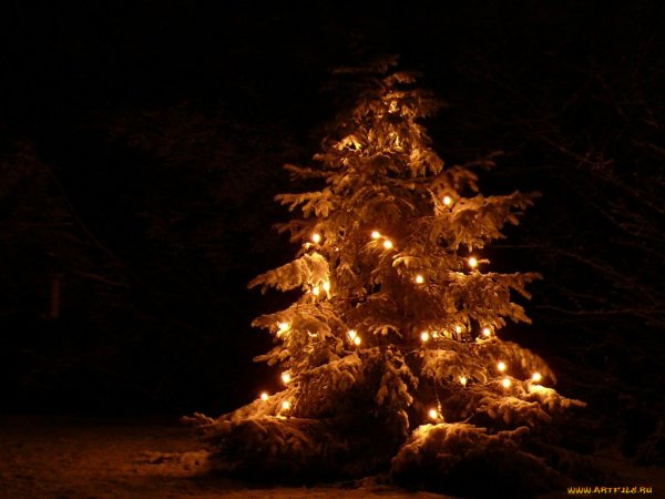 Елка с огоньками