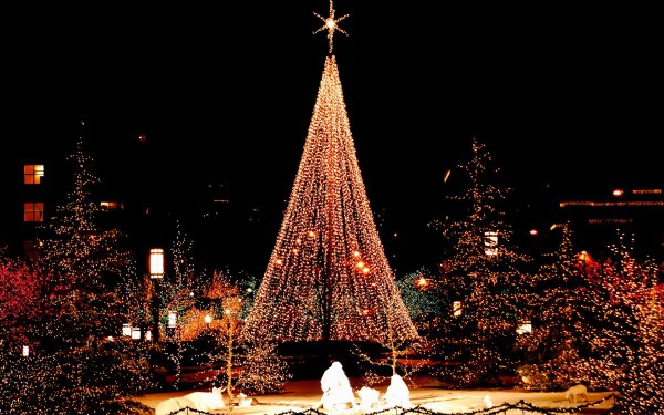 Елка Балаково Центральная