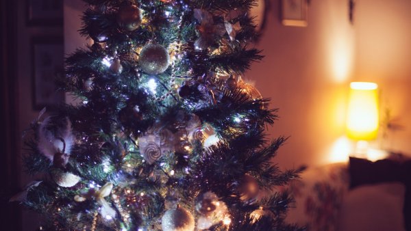 Новогодняя елка