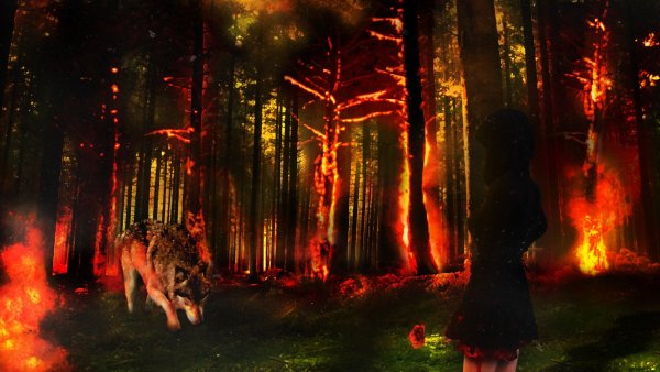 Лес в огне