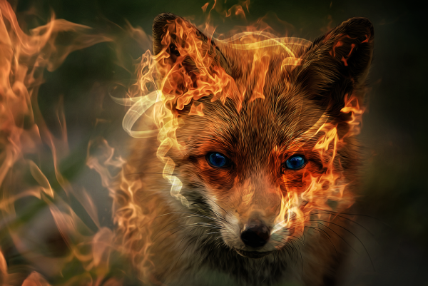 Плазменная лиса