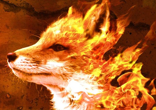 Лиса в огне