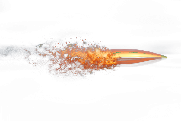 Летящая пуля