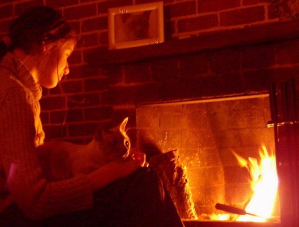Сидит у камина