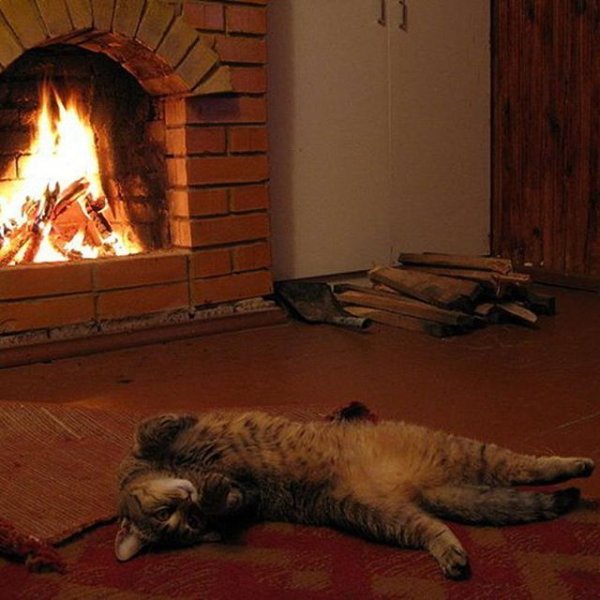 Уют камин кот