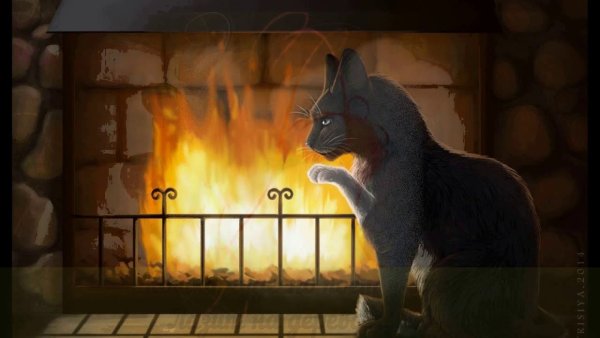 Черный кот у камина