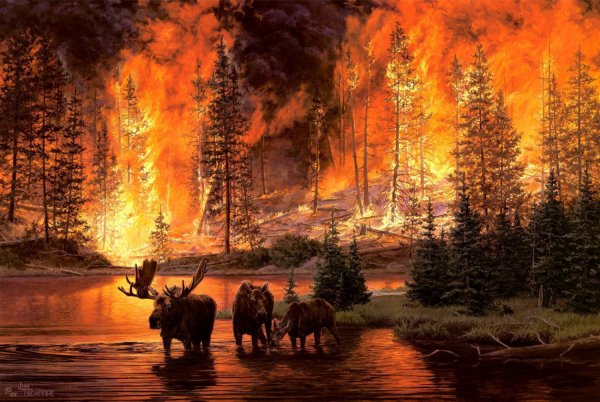 Горящий Лис