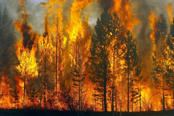 Печные пожары