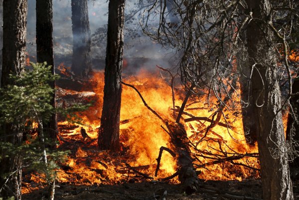 Лесные и торфяные пожары