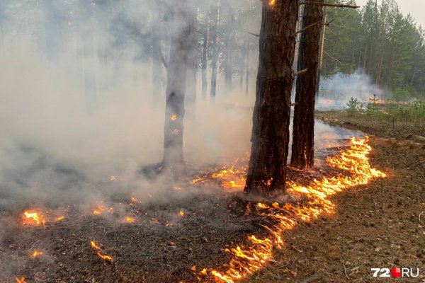 Горят леса