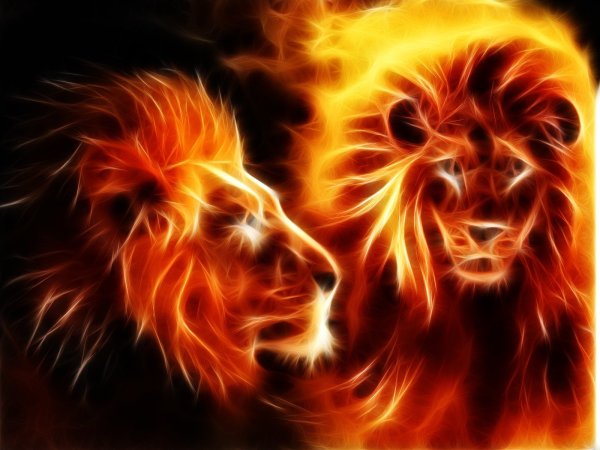 Лев в огне