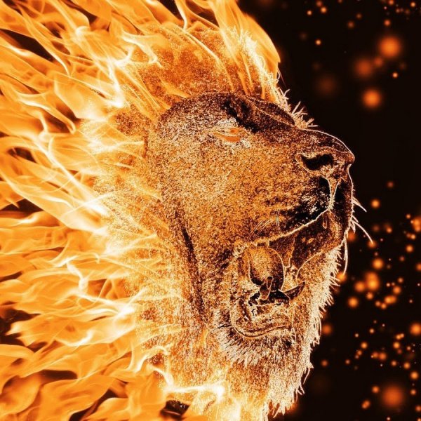 Лев в огне