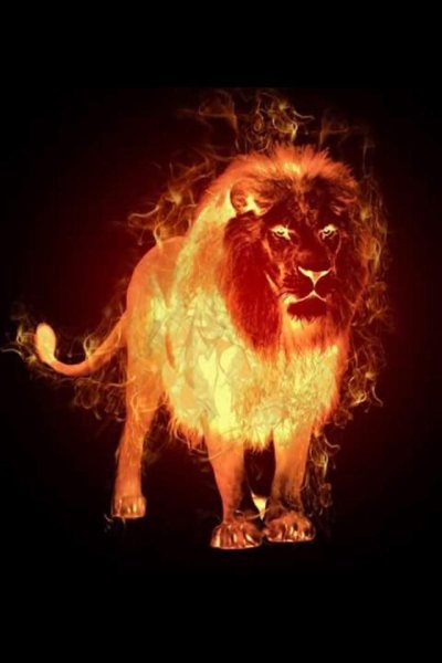 Огненный Лев