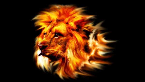 Лев в огне