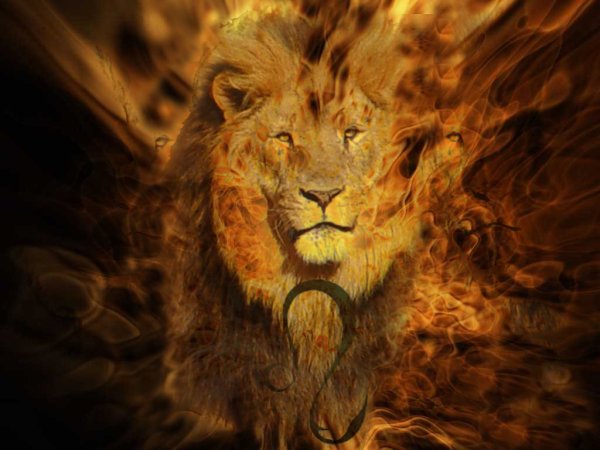 Лев и пламя