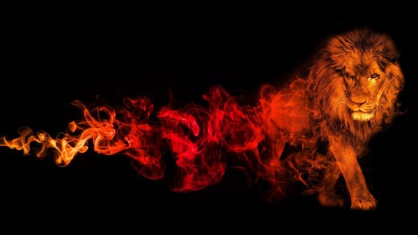 Красный Лев на черном фоне