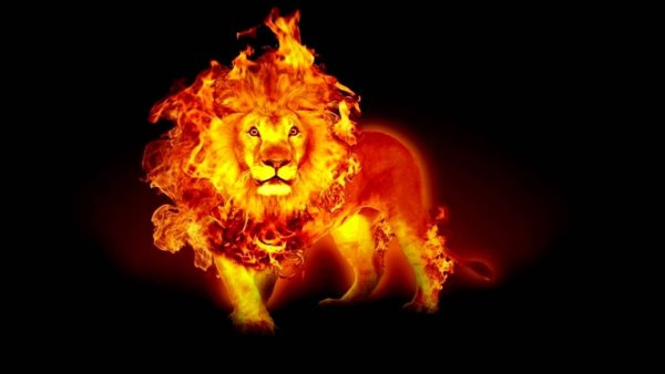 Лев и пламя