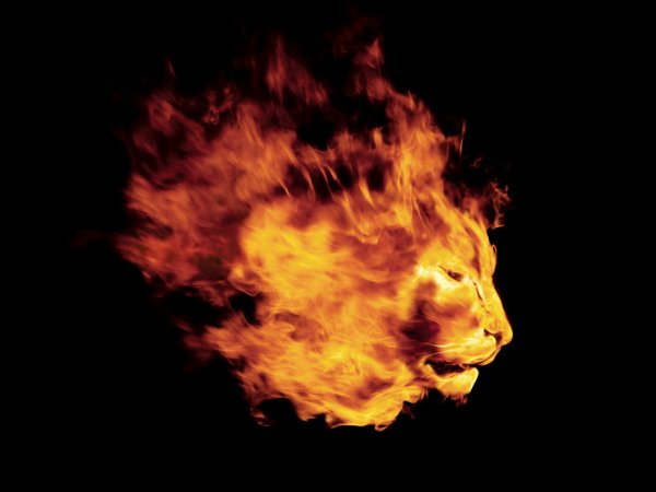 Огненная львица