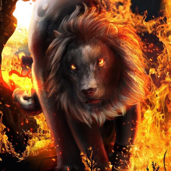 Огненный Лев