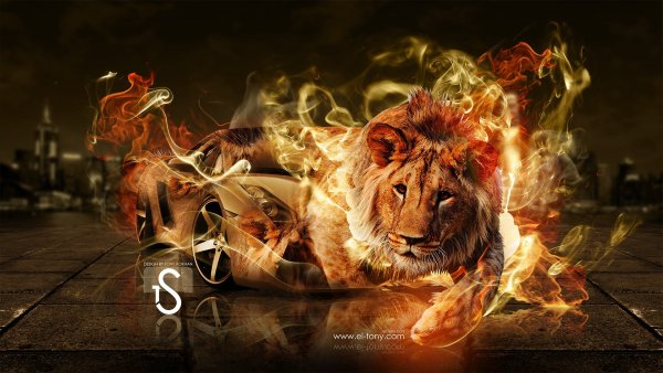 Огненный Лев