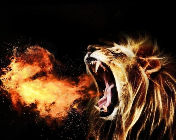 Фото тигра злого с огнем