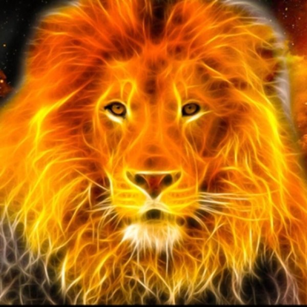 Лев в огне