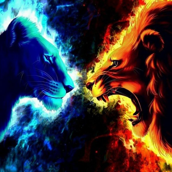 Огненная львица