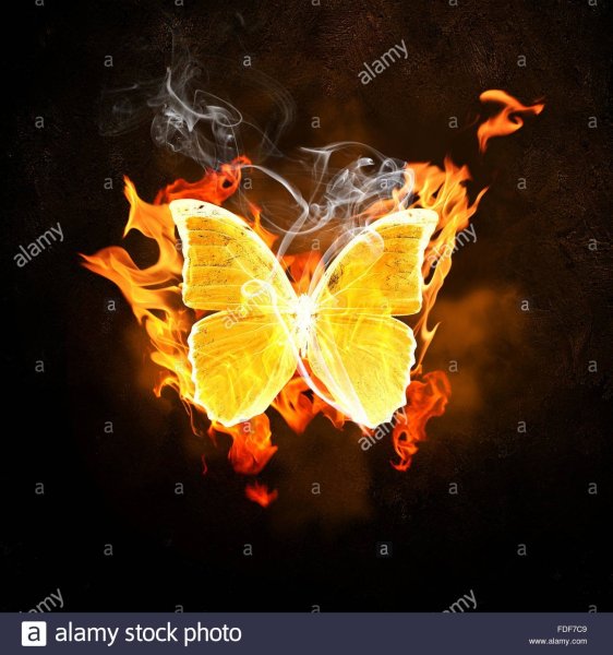 Огненный мотылек