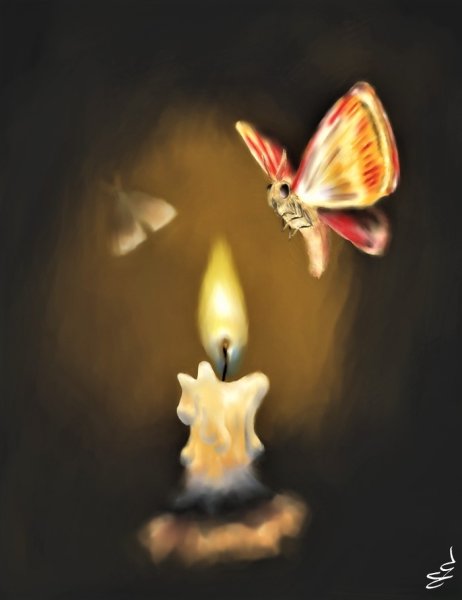 Мотылек и огонь