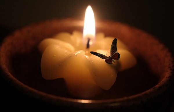 Мотылек и огонь